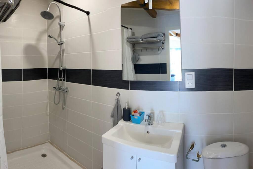 Loft 21 M² Pouvant Accueillir 4 Personnes * Monteux
